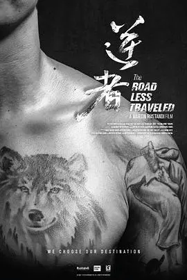 《逆者》：从逆境中崛起的英雄传奇故事