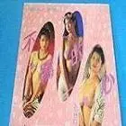 不羈的心：平行世界中的灾难与心灵救赎之旅