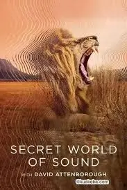 《大卫·艾登堡：大自然的声音》：致敬传奇，聆听地球脉搏，探索生命奇迹与未来